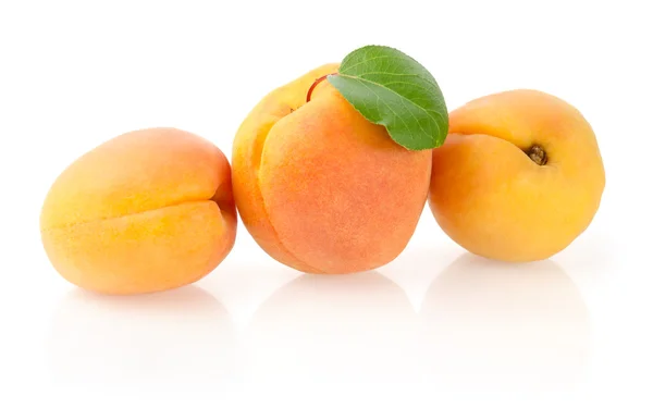 Ripe Apricots with Leaf — Stock Photo, Image