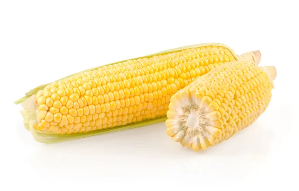 Fresh Corn on the Cob — Stock Photo, Image