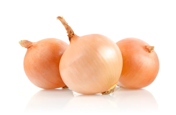 Onions on White Background — Stock Photo, Image