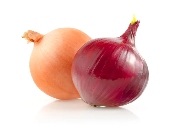 Onion Bulbs on White Background — Stock Photo, Image