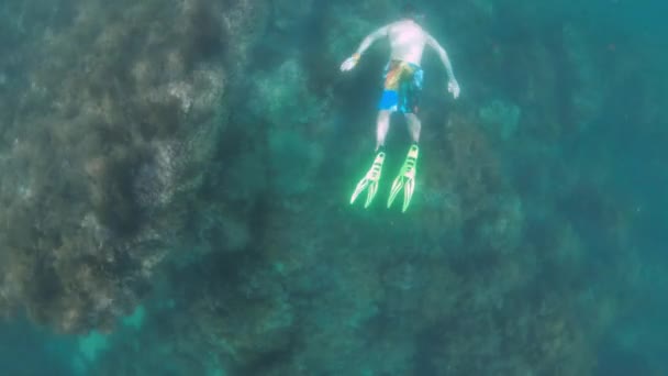 Şnorkel maskeli ve yüzgeçli beyaz bir adam serbest dalış yaparken suyun altında yüzüyor. Aksiyon kamerasıyla çekim yapmak — Stok video