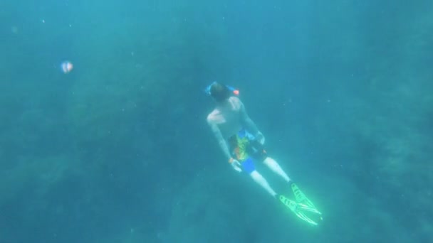 Joven hombre caucásico con una máscara de snorkel y aletas nada libre bajo el agua. Disparos con una cámara de acción — Vídeos de Stock