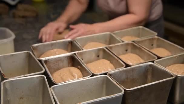 La mujer pone la masa en una bandeja de pan. Proceso de elaboración de pan en una panadería artesanal — Vídeo de stock