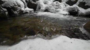Kış nehrinde, kar ve buzla kaplı bir kayanın içinden akıntılar. Çam ormanındaki buzlu nehir. Saf kristal içme suyu