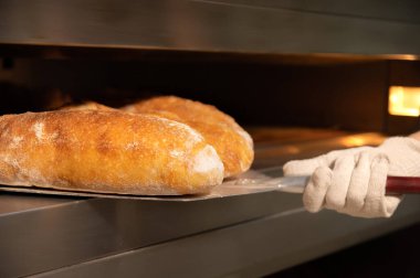 Yeni pişmiş. Fırından taze pişmiş ekmek çıkaran bir küreğin yakın çekimi. Fırın işi. Boşluğu kopyala