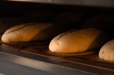 Endüstriyel bir fırında üç somun hamur ekmeği pişirilir. Ekmek üretimi