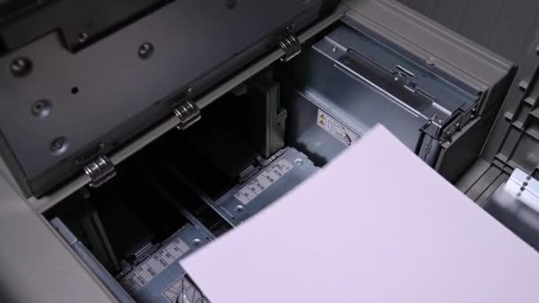 Male businessman worker loading a pack of white paper for printing into an industrial printer — Stock Video