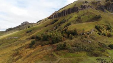 Sonbaharda ağaçların yanındaki dağ yamacında alçak uçuş manzarası..