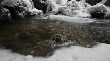 Kış nehrinde, kar ve buzla kaplı bir kayanın içinden akıntılar. Çam ormanındaki buzlu nehir. Saf kristal içme suyu