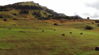 Hava manzaralı çim samanı. Dağ çayırları ve otlaklar yeşil çimenler ve çiftlik hayvanları için samanlar