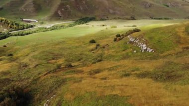 4k 'lık hava manzarası dağ çayırlarında otlayan çiftlik hayvanlarıyla birlikte.