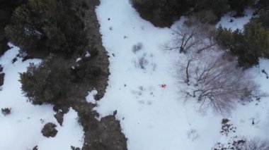 Turuncu takım elbiseli bir kayakçının havadan görünüşü bir bahar ormanındaki kar kalıntıları arasında geziniyor. Baharda ekstrem kayak