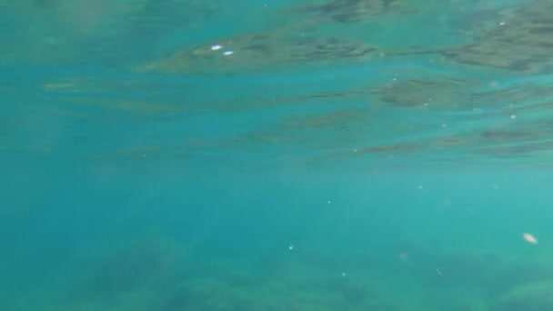 Di bawah pandangan permukaan laut bawah laut dengan sinar cahaya alami bersinar melalui permukaan air yang mengkilap dan bergerak, kaustik, gelembung dan busa — Stok Video