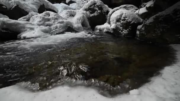 En närbild vidvinkel på en halvfrusen fjällälv i en tallskog. Kaskader av kristallklart vatten omgivna av is och stenar — Stockvideo