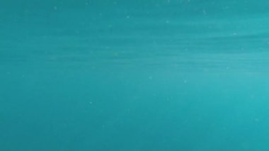 Su altı denizinin yüzeyinin altında, suyun parlak ve hareketli yüzeyinde parlayan doğal ışık ışınları, nedenseller, kabarcıklar ve köpükler var.