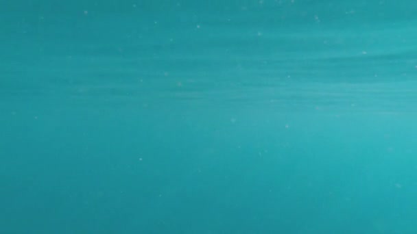 Under ytan av undervattensvyn med naturliga strålar av ljus som skiner genom den blanka och rörliga ytan av vattnet, orsakssamband, bubblor och skum — Stockvideo