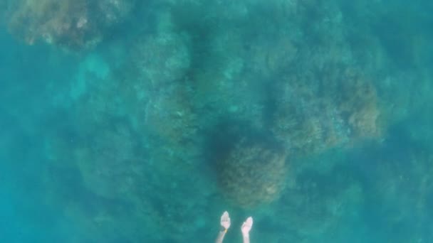 Şort, palet ve şnorkel takmış su altı maskesi takan bir adam okyanusun berrak sularında derinlerde yüzer. Serbest dalış — Stok video