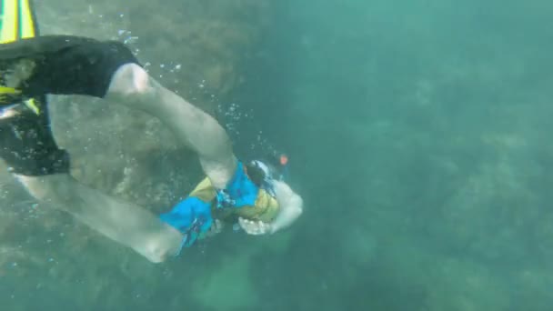 Ein Mann in kurzen Hosen, Schwimmflossen und einer Unterwassermaske mit Schnorchel schwimmt in der Tiefe im klaren Wasser des Ozeans. Freitauchen — Stockvideo