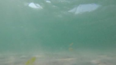 Su altı denizinin yüzeyinin altında, suyun parlak ve hareketli yüzeyinde parlayan doğal ışık ışınları, nedenseller, kabarcıklar ve köpükler var.