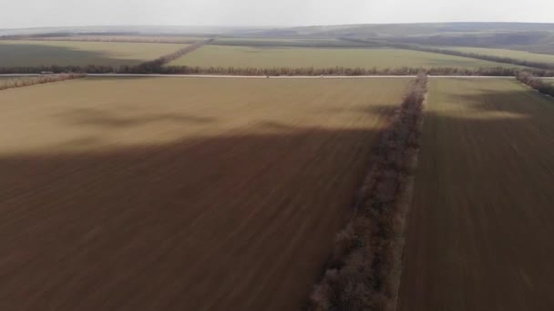 Vista aérea de um campo agrícola com pulverizador, herbicidas e pesticidas ao pôr-do-sol. Máquinas agrícolas agrícola natural sazonal primavera obras — Vídeo de Stock