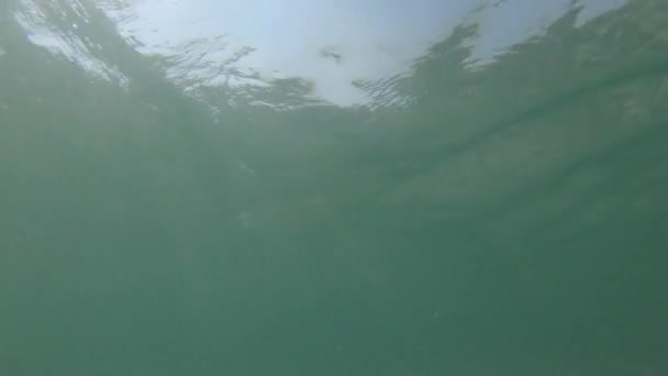 水面下では、水、腐食、泡、泡の光沢のある動きのある表面を通して自然光の光線が輝いています。 — ストック動画