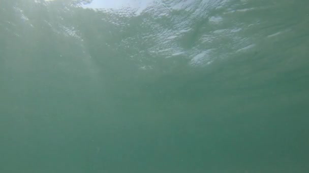 Под поверхностным видом подводного моря с естественными лучами света, сияющими сквозь блестящую и движущуюся поверхность воды, каустики, пузырьков и пены — стоковое видео