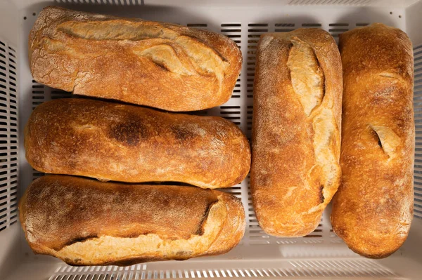 Свежий горячий ремесленный хлеб в белой пластиковой транспортной коробке. Здоровые и вкусные хлебобулочные изделия — стоковое фото