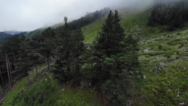 Vistas aéreas deslumbrantes das encostas íngremes e picos das montanhas do Cáucaso cobertas de nuvens baixas. Voo de drone na floresta entre as copas das árvores. Destinos turísticos e rotas no Cáucaso. — Vídeo de Stock