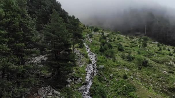 Vista aérea de un río de montaña rodeado de verde bosque alpino en un día nublado con niebla y nubes bajas. Visión general de vuelo bajo del valle místico 4k — Vídeo de stock