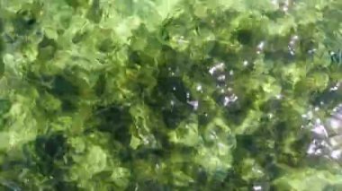 Sığ sulardaki şeffaf deniz manzarası. Okyanusun yüzeyindeki küçük dalgaların havadan görünüşü. Güneşli bir günde deniz arkaplanı