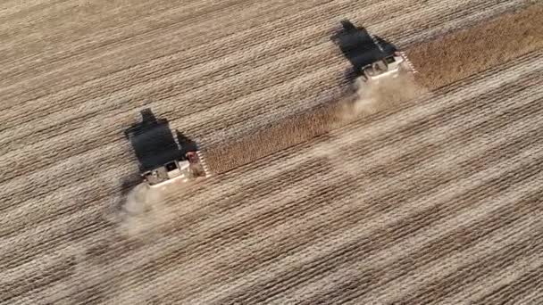 Traktorerntemaschine von oben führt Sonnenblumenernte auf dem Feld durch. Produktion von Samen und Sonnenblumenöl — Stockvideo