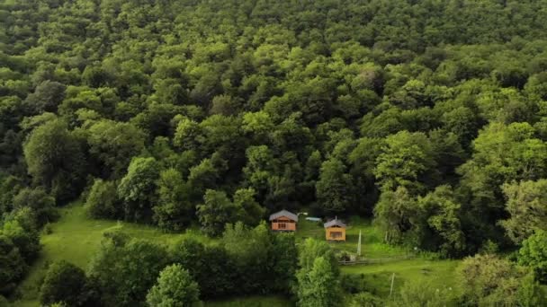 緑の森に囲まれた芝生の上に2つの木造住宅があります。遠くの山の中でエコ決済。撤退とダウンシフトのための近代的な場所 — ストック動画