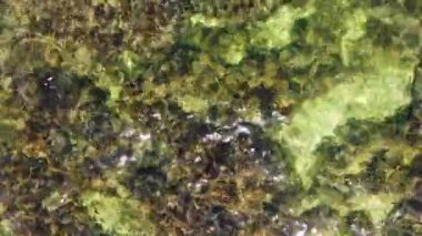 Sığ sulardaki şeffaf deniz manzarası. Okyanusun yüzeyindeki küçük dalgaların havadan görünüşü. Güneşli bir günde deniz arkaplanı