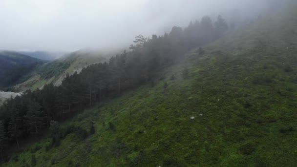 Вид с воздуха на горную реку, окруженную зелеными альпийскими лесами в облачный день с туманом и низкими облаками. Низкий обзор полета мистической долины 4k — стоковое видео