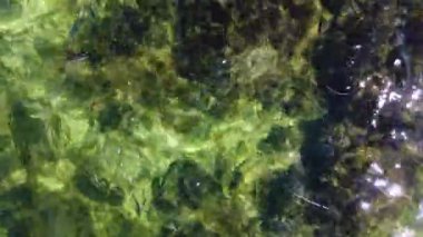 Sığ sulardaki şeffaf deniz manzarası. Okyanusun yüzeyindeki küçük dalgaların havadan görünüşü. Güneşli bir günde deniz arkaplanı