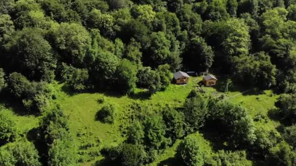 Flygfoto två trähus står på en gräsmatta omgiven av en grön skog. Eko bosättning långt borta i bergen. Moderna platser för reträtt och nedflyttning — Stockvideo