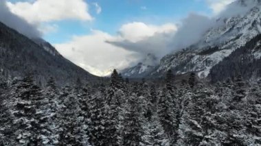 Kış ormanı Hava manzaralı. Kamera, ağaçların tepelerinden karlı dağlara doğru uçuyor. Kışın dağlık bölgede alçak uçuş manzarası. karla kaplı ağaçlar.