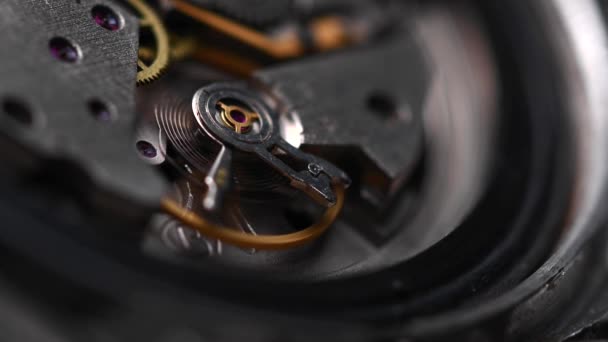 Mecanismo de engranaje de trabajo de un viejo reloj de pulsera en macro. Primer plano — Vídeo de stock