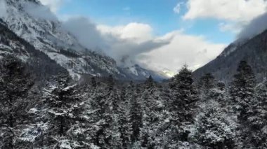Bulutlu bir günde kış mevsiminde karla kaplı ağaçların ve kozalaklı ormanların hava manzarası. Kışın karlı çam ormanları, insansız hava aracı görüntüleri. Görünüm: sakin orman ve dağ