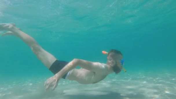 Pria berjenggot kaukasia bertopeng dengan snorkel berenang bebas menyelam di perairan dangkal di bawah air. Snorkeling pada hari yang cerah — Stok Video