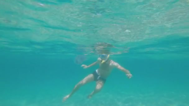 Vit skäggig man i mask med snorkel simmar fritt dykning i grunt vatten i havet under vattnet. Snorkling på en solig dag — Stockvideo