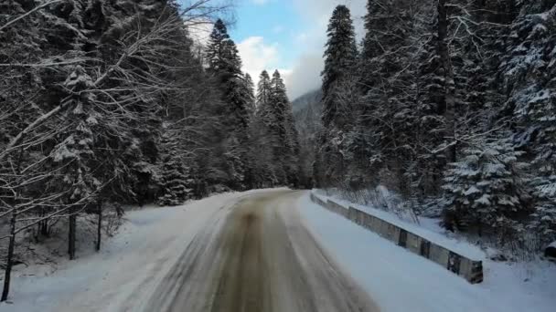 冬には雪に覆われた針葉樹林を通って空中ビュー山岳道路。山の冬 — ストック動画