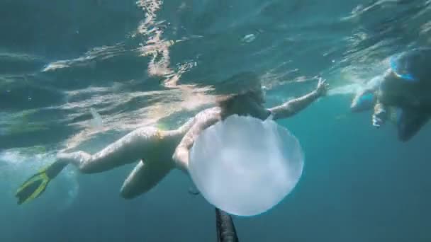 慢动作的年轻夫妇在红海中潜水，带着一只水母在水里畅游。人们潜入令人惊叹的热带水域进行自我毁灭 — 图库视频影像