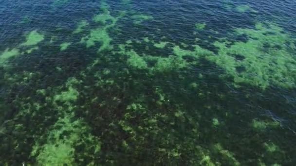 Vue de dessus de la mer transparente en eau peu profonde. Vue aérienne de petites vagues ondulant à la surface de l'océan. Fond de la mer par une journée ensoleillée — Video