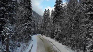 Kışın karlı kozalaklı ormanların arasından geçen hava manzaralı dağ yolu. Dağlarda kış