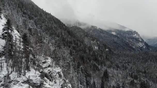 冬の森低雲針葉樹林空中ビューの木の風景背景雪に覆われた木と山の谷の旅行穏やかな風景。低空飛ぶドローン — ストック動画