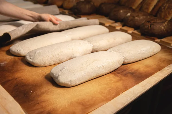 Las manos femeninas cumplen las acciones con el pan crudo. Masa antes de sumergirse en un horno de panadería —  Fotos de Stock