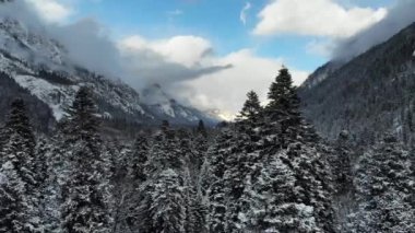 Kış ormanı alçak bulutlar kozalaklı orman manzarası arka plandaki ağaçlar karla kaplı dağ vadisinin sakin manzarasını gezerler. Alçaktan uçan dron