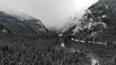 Kış ormanı alçak bulutlar kozalaklı orman manzarası arka plandaki ağaçlar karla kaplı dağ vadisinin sakin manzarasını gezerler. Alçaktan uçan dron
