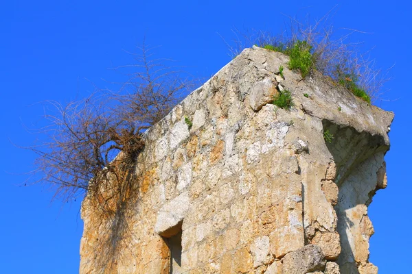 Fragment einer alten Mauer — Stockfoto